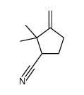 2,2-dimethyl-3-methylidenecyclopentane-1-carbonitrile Structure