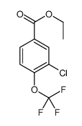 ethyl 3-chloro-4-(trifluoromethoxy)benzoate Structure