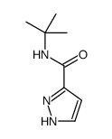 N-tert-butyl-1H-pyrazole-5-carboxamide结构式