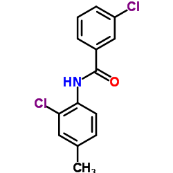 3-Chloro-N-(2-chloro-4-methylphenyl)benzamide结构式