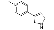 4-(2,5-dihydro-1H-pyrrol-3-yl)-1-methylpyridin-1-ium Structure