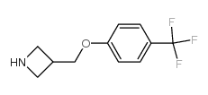 3-(4-Trifluoromethyl-phenoxymethyl)-azetidine结构式