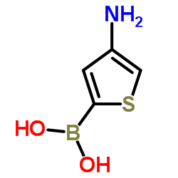 (4-Amino-2-thienyl)boronic acid结构式