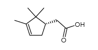 (-)-α-campholenic acid Structure