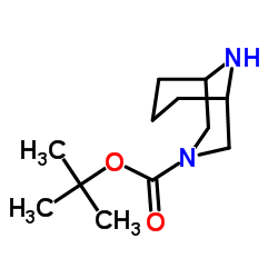 2-Methyl-2-propanyl 3,9-diazabicyclo[3.3.1]nonane-3-carboxylate结构式