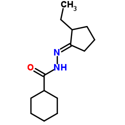 N'-[(1E)-2-Ethylcyclopentylidene]cyclohexanecarbohydrazide结构式