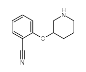 2-(3-哌啶氧基)苯腈结构式