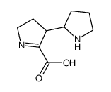 1-Pyrroline-2-carboxylicacid,3-(2-pyrrolidinyl)-(6CI)结构式