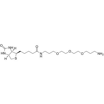 Biotin-PEG3-C3-NH2 Structure