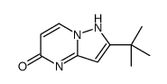 2-tert-butyl-1H-pyrazolo[1,5-a]pyrimidin-5-one结构式