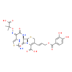 7-(2-(2-aminothiazol-4-yl)- 2-(1-carboxyl-1-methylethoxyimino)acetamido)-3-(3-(3,4-dihydroxybenzoyloxy)-1-propen-1-yl)-3-cephem-4-carboxylic acid structure