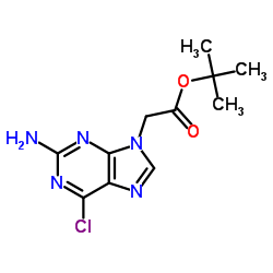 2-Methyl-2-propanyl (2-amino-6-chloro-9H-purin-9-yl)acetate结构式