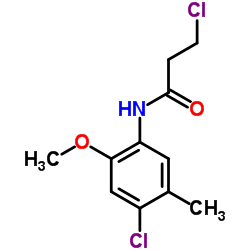 3-Chloro-N-(4-chloro-2-methoxy-5-methylphenyl)propanamide结构式