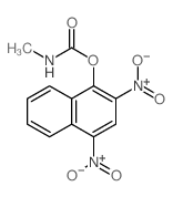1-Naphthalenol,2,4-dinitro-, methylcarbamate (ester) (9CI)结构式