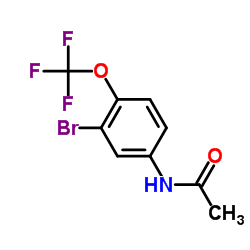 4-Acetamido-2-bromo-alpha,alpha,alpha-trifluoroanisole, N-[3-Bromo-4-(trifluoromethoxy)phenyl]acetamide picture