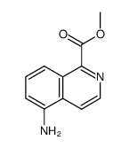1-Isoquinolinecarboxylicacid,5-amino-,methylester(9CI) picture