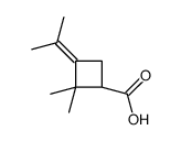 (1S)-2,2-dimethyl-3-propan-2-ylidenecyclobutane-1-carboxylic acid结构式