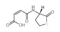 (Z)-3-[[(3S)-2-oxothiolan-3-yl]carbamoyl]prop-2-enoic acid structure