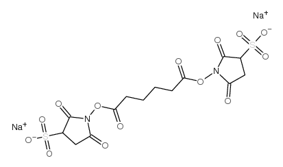 bis(sulfosuccinimidyl)adipate sodium salt picture