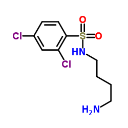 N-(4-Aminobutyl)-2,4-dichlorobenzenesulfonamide Structure