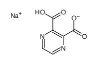 sodium hydrogen pyrazine-2,3-dicarboxylate Structure