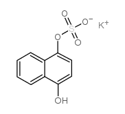 Potassium 1-Hydroxy-4-naphthol Sulfate picture