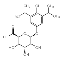 4-羟基丙泊酚-4-O-β-D-葡糖醛酸结构式