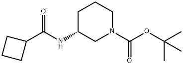 (R)-tert-Butyl 3-(cyclobutanecarbonylamino)piperidine-1-carboxylate Structure