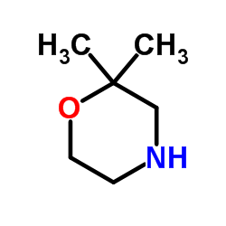 2,2-dimethylmorpholine picture