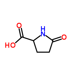 Pyroglutamic acid Structure