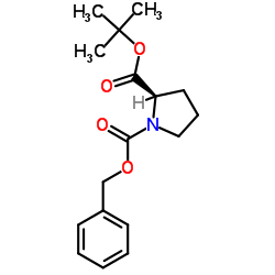 ZD-脯氨酸叔丁酯结构式