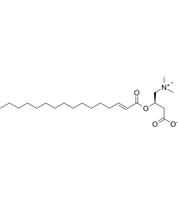 trans-2-Hexadecenoyl-L-carnitine Structure