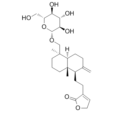 Neoandrographolide structure