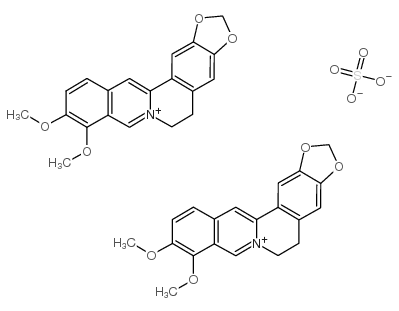 硫酸黄连素图片