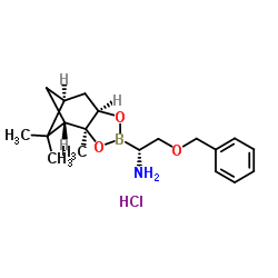 (R)-BoroSer(OBn)-(+)-Pinanediol-HCl图片