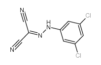 2-[2-(3,5-DICHLOROPHENYL)HYDRAZONO]MALONONITRILE structure