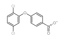 1,4-dichloro-2-(4-nitrophenoxy)benzene structure
