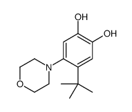 4-tert-butyl-5-morpholin-4-ylbenzene-1,2-diol结构式