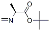 L-Alanine, N-methylene-, 1,1-dimethylethyl ester (9CI)结构式
