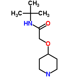 N-tert-butyl-2-(piperidin-4-yloxy)acetamide结构式