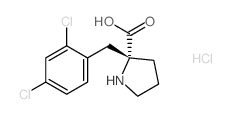 (R)-2-(2,4-DICHLOROBENZYL)PYRROLIDINE-2-CARBOXYLIC ACID HYDROCHLORIDE Structure