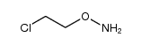 O-(2-chloro-ethyl)-hydroxylamine结构式