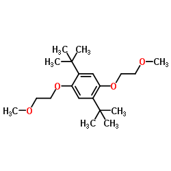 1,4-Bis(2-methoxyethoxy)-2,5-bis(2-methyl-2-propanyl)benzene Structure