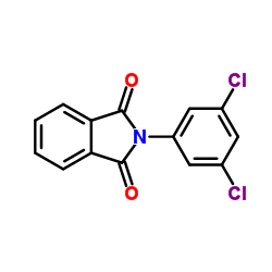 2-(3,5-Dichlorophenyl)-1H-isoindole-1,3(2H)-dione Structure