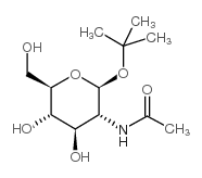 TERT-BUTYL 2-ACETAMIDO-2-DEOXY-BETA-D-GLUCOPYRANOSIDE structure