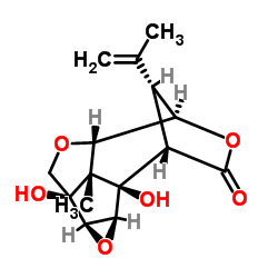 corianin Structure