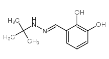 Benzaldehyde, 2,3-dihydroxy-, (1,1-dimethylethyl)hydrazone (9CI) Structure