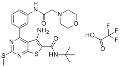 Org 42599 Structure