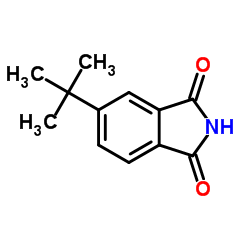 5-(叔丁基)异吲哚啉-1,3-二酮图片