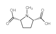 2,5-Pyrrolidinedicarboxylicacid,1-methyl-,cis-(9CI)结构式